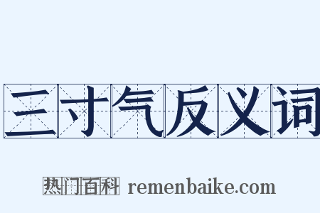 三寸气反义词是什么意思的图片
